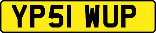 YP51WUP