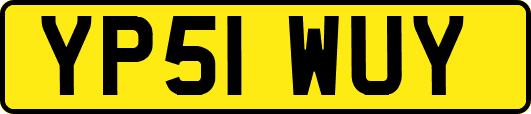 YP51WUY