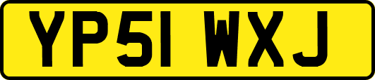 YP51WXJ