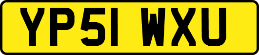 YP51WXU