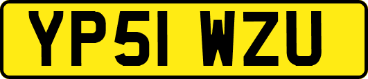 YP51WZU