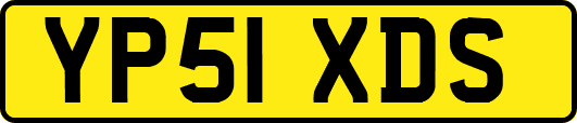YP51XDS