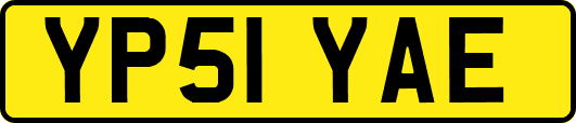 YP51YAE