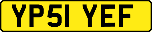 YP51YEF