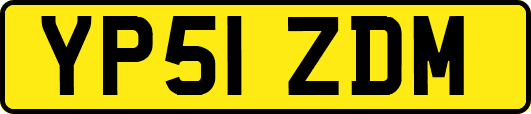 YP51ZDM
