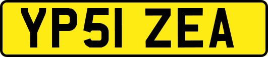 YP51ZEA