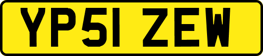 YP51ZEW