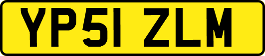 YP51ZLM