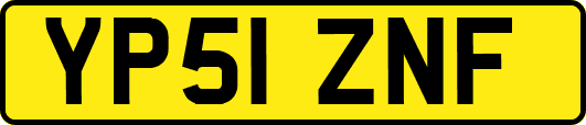 YP51ZNF