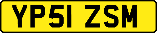 YP51ZSM