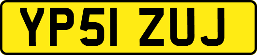 YP51ZUJ
