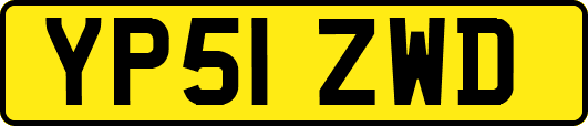 YP51ZWD