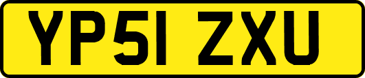 YP51ZXU