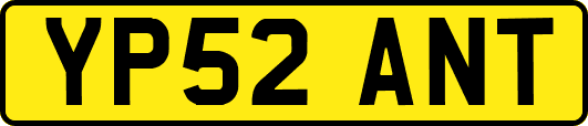 YP52ANT
