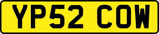 YP52COW