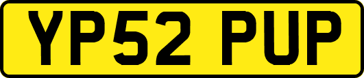 YP52PUP