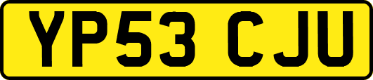 YP53CJU