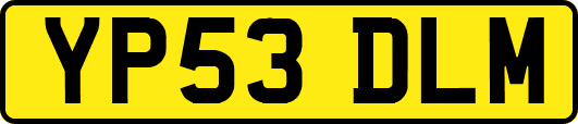 YP53DLM