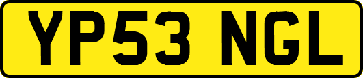 YP53NGL