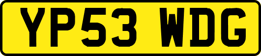 YP53WDG
