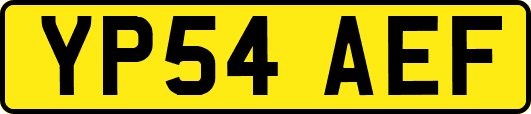 YP54AEF