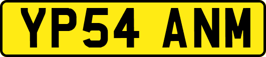 YP54ANM