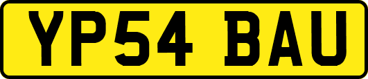 YP54BAU