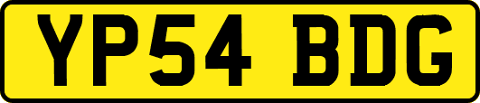 YP54BDG
