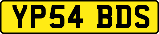 YP54BDS