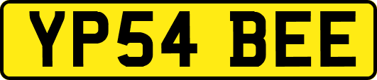 YP54BEE