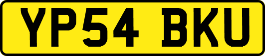 YP54BKU