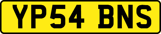 YP54BNS