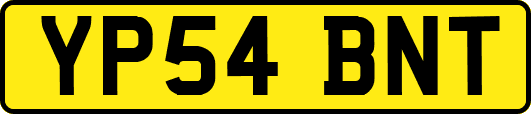 YP54BNT