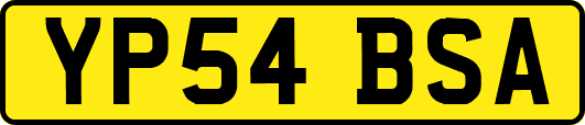 YP54BSA