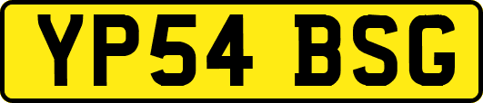 YP54BSG