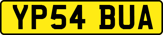YP54BUA
