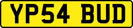 YP54BUD