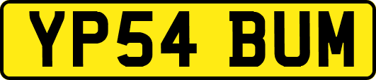 YP54BUM