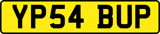 YP54BUP