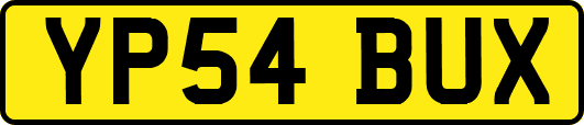 YP54BUX