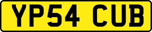 YP54CUB