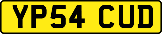 YP54CUD
