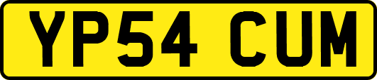 YP54CUM