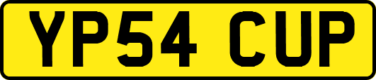 YP54CUP
