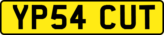 YP54CUT