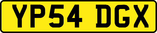 YP54DGX