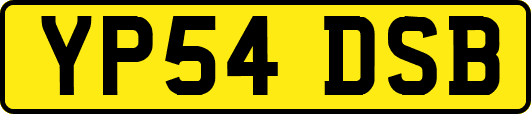 YP54DSB