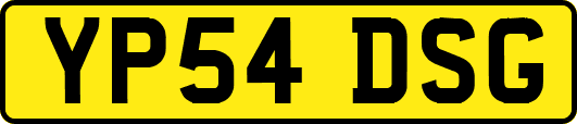 YP54DSG