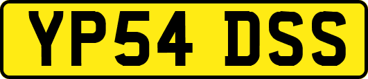 YP54DSS