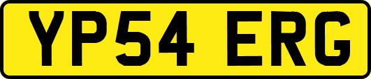 YP54ERG